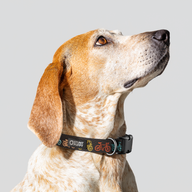 Jill Kittock Bikes Grey Everyday Collar — Medium
