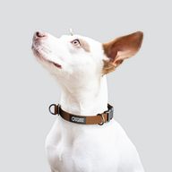 Bark Monochrome Everyday Collar — Small