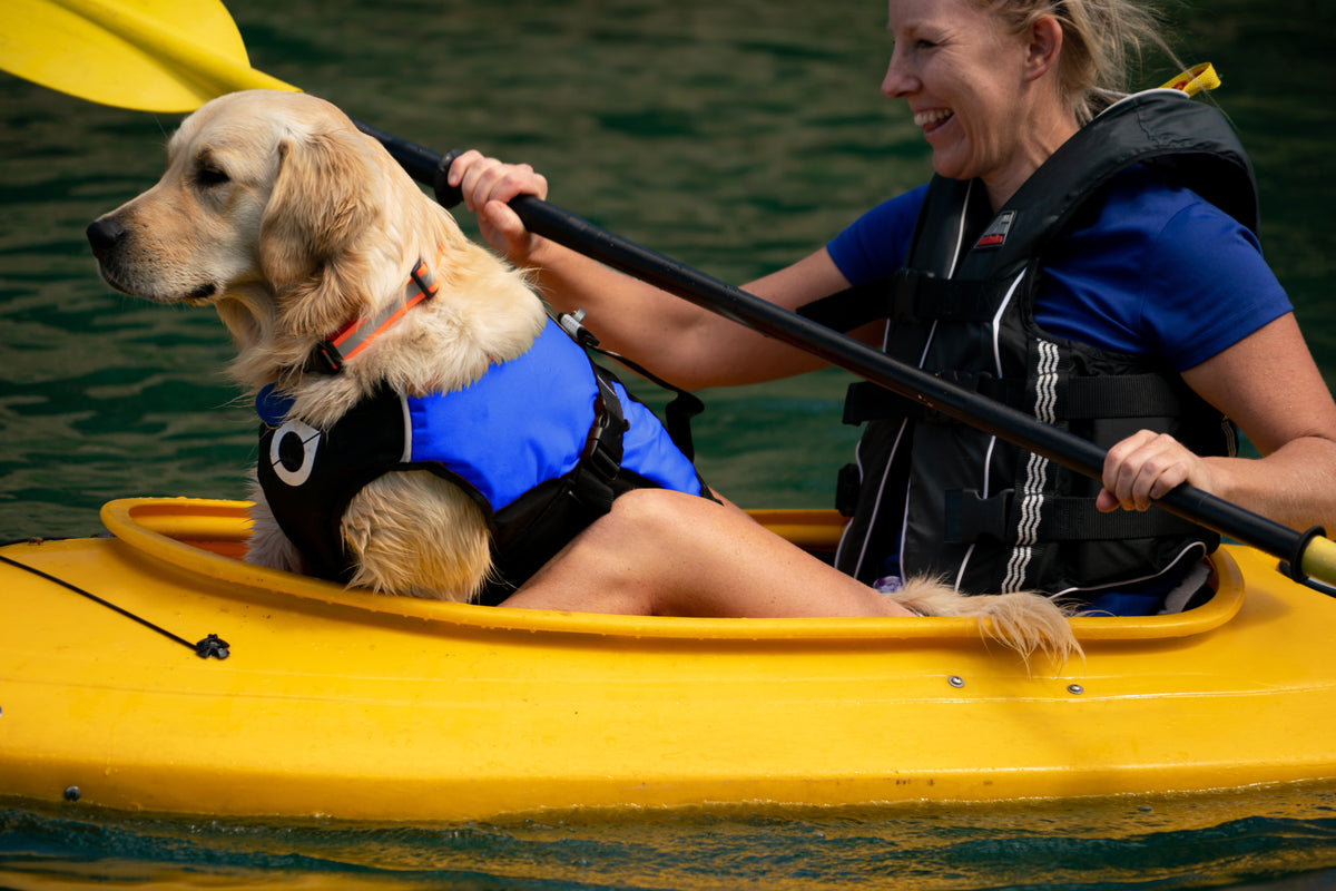 Stunt Puppy - Dog Leashes, Collars, Harnesses, Life Jackets and More