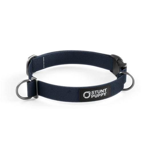 Lights Out Monochrome Everyday Collar