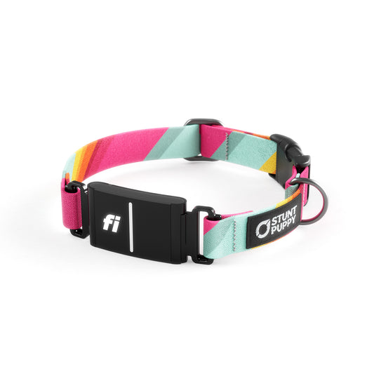 Fi-Ready All Are Welcome Here Everyday Collar