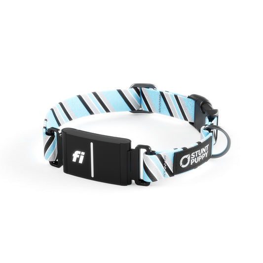 Fi-Ready Loons Tie Collar