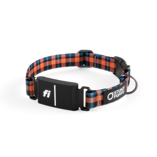 Fi-Ready Lumberpup Emily Collar