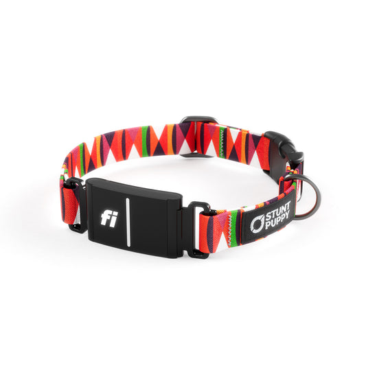 Fi-Ready Zebras Red Hot Collar