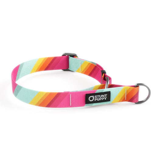 Martingale Limited-Slip Collar All Are Welcome Here
