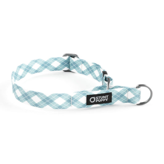 Martingale Limited-Slip Collar Argyle Cotton Candy