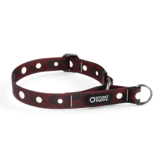 Martingale Limited-Slip Collar Dakota Mace Evening Star