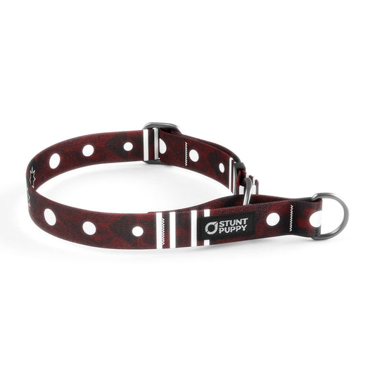 Martingale Limited-Slip Collar Dakota Mace Morning Star