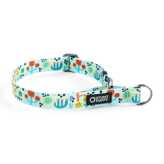 Martingale Limited-Slip Collar Desert Sunrise