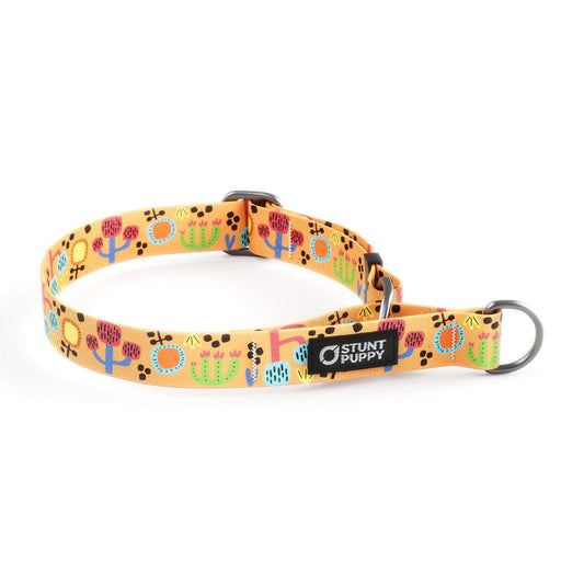 Martingale Limited-Slip Collar Desert Sunset