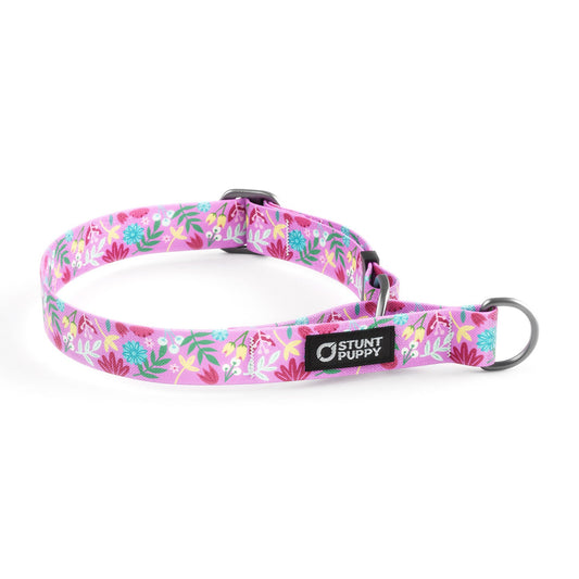 Martingale Limited-Slip Collar Frolic Summer