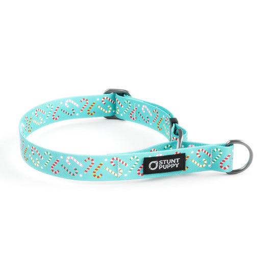 Martingale Limited-Slip Collar Holiday Candycanes Aqua