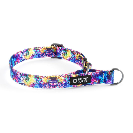 Martingale Limited-Slip Collar Jammin Blush Spiral