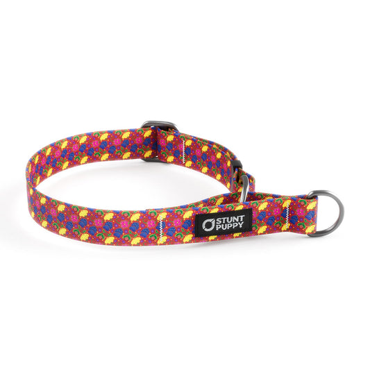 Martingale Limited-Slip Collar Kaylene Rocky Boy MT