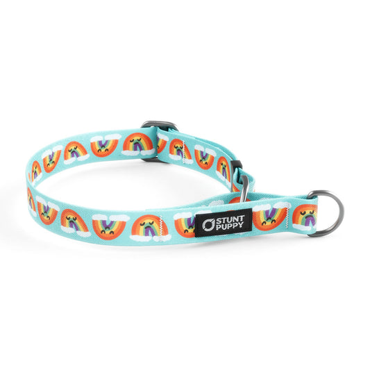 Martingale Limited-Slip Collar Kittock Rainbow