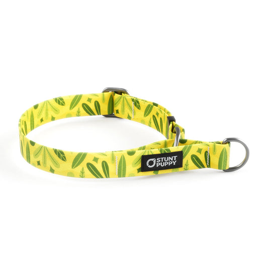 Martingale Limited-Slip Collar Leaves Summer