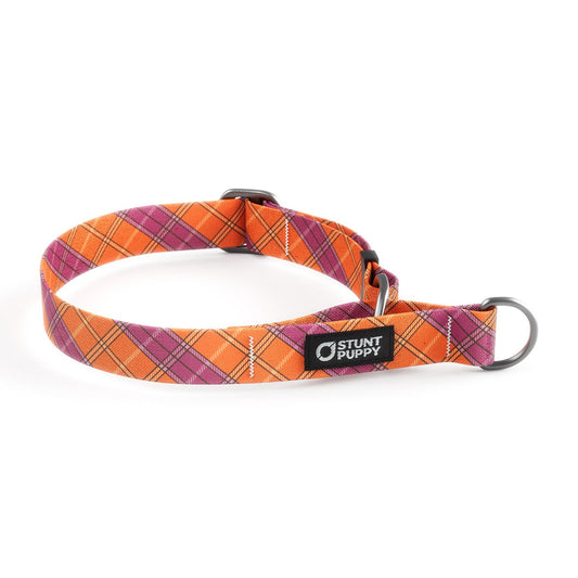 Martingale Limited-Slip Collar Lumberpup Sherbet