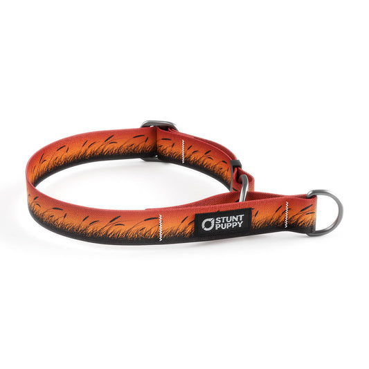 Martingale Limited-Slip Collar Marsh Orange
