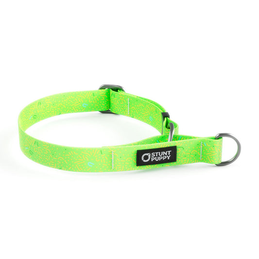 Martingale Limited-Slip Collar Petri Chartreuse