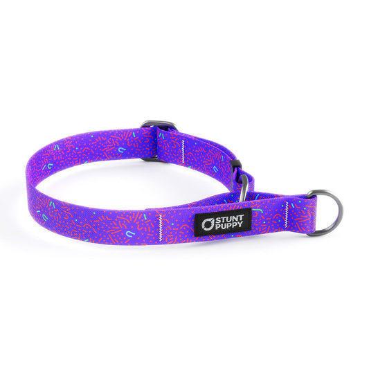 Martingale Limited-Slip Collar Petri Purple