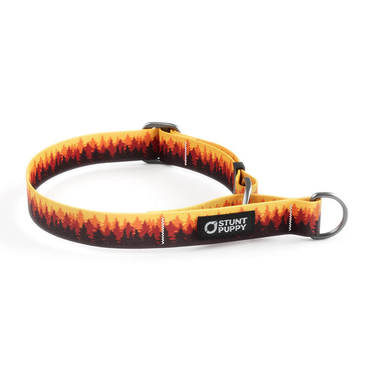 Martingale Limited-Slip Collar Pines Orange