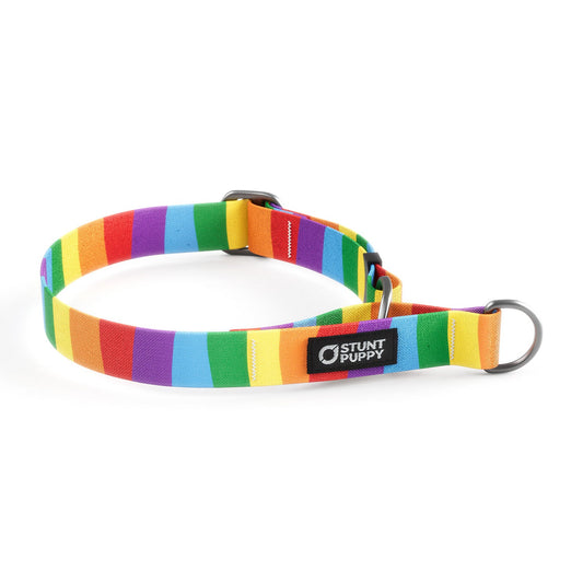 Martingale Limited-Slip Collar Rainbow