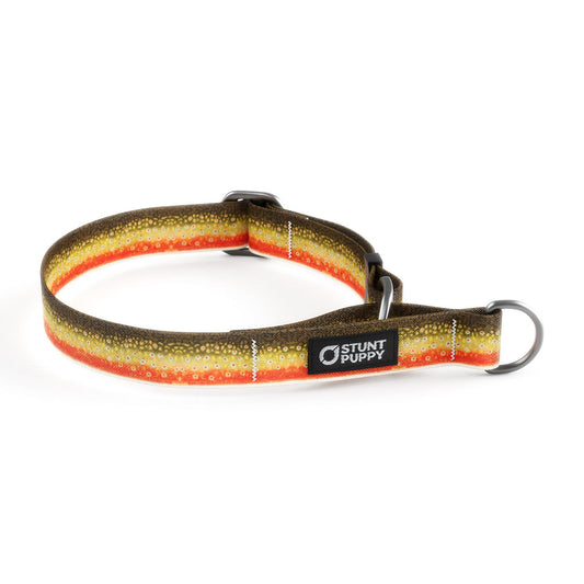Martingale Limited-Slip Collar Brook Trout