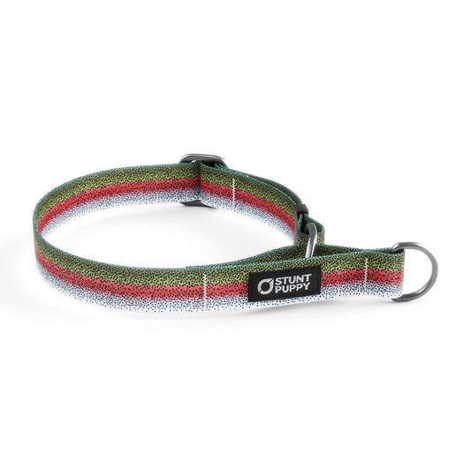 Martingale Limited-Slip Collar Rainbow Trout