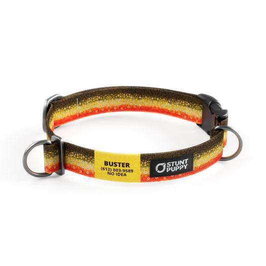 Brook Trout Everyday Collar