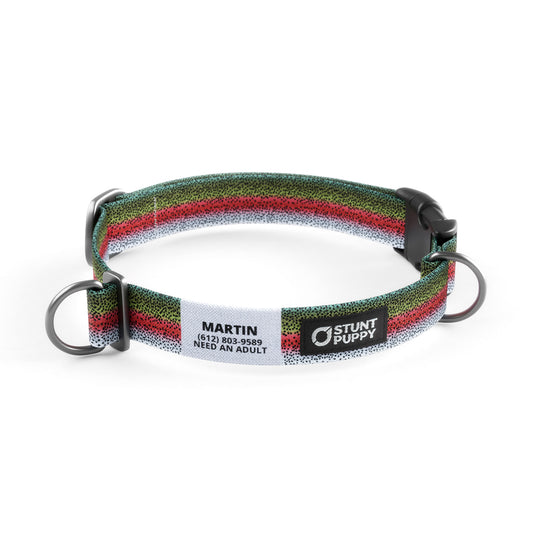 Rainbow Trout Everyday Collar
