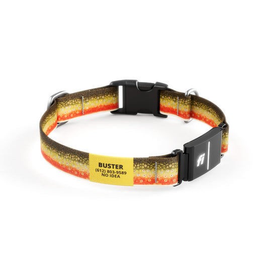 Fi-Ready Brook Trout Collar