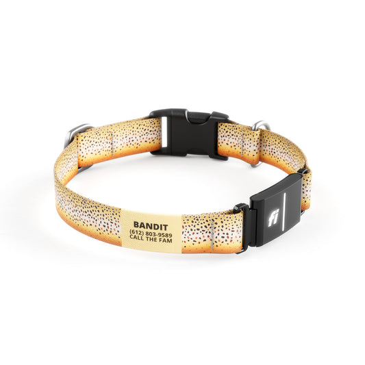 Fi-Ready Brown Trout Collar