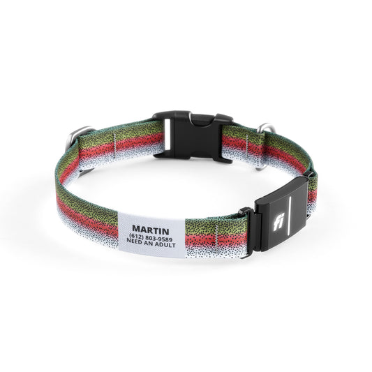 Fi-Ready Rainbow Trout Collar