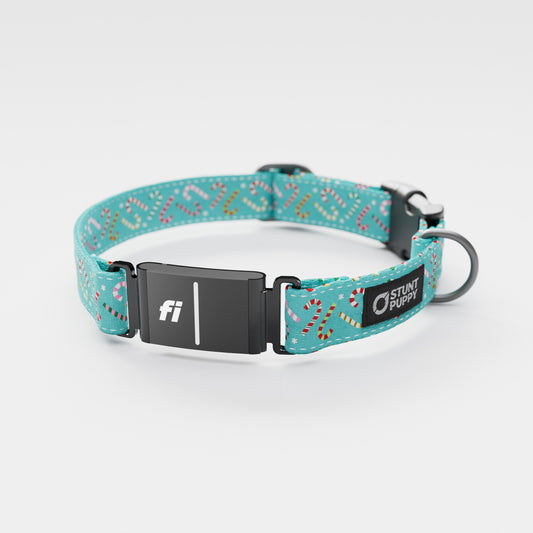Fi GPS Included Candy Canes Aqua Everyday Collar (6 month subscription)