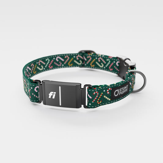 Fi GPS Included Candy Canes Green Everyday Collar (6 month subscription)