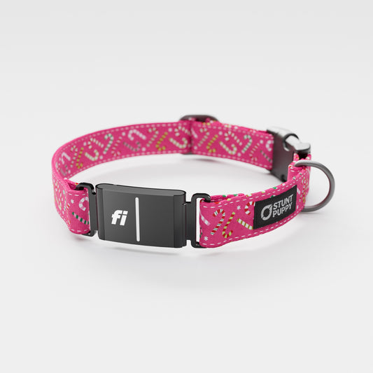 Fi GPS Included Candy Canes Pink Everyday Collar (6 month subscription)