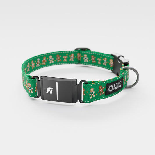Fi-Ready Gingerbread Green Everyday Collar