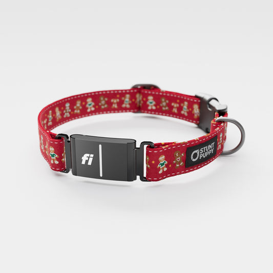 Fi-Ready Gingerbread Red Everyday Collar