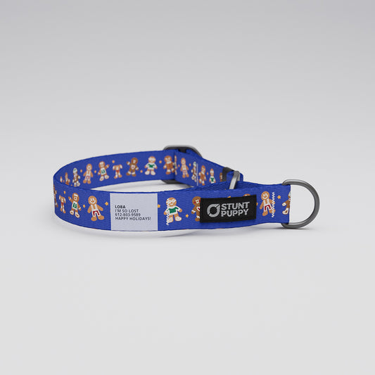 Martingale Limited-Slip Collar Gingerbread Blue
