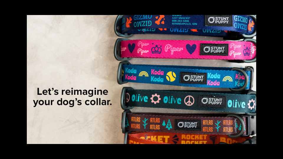 CollarLab™