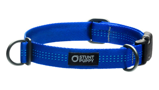 Classic Blue Everyday Collar™
