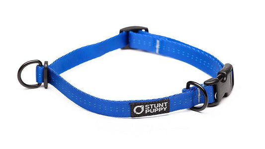 Classic Blue Everyday Collar™