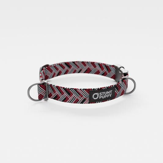 Atlanta Fidos Everyday Collar