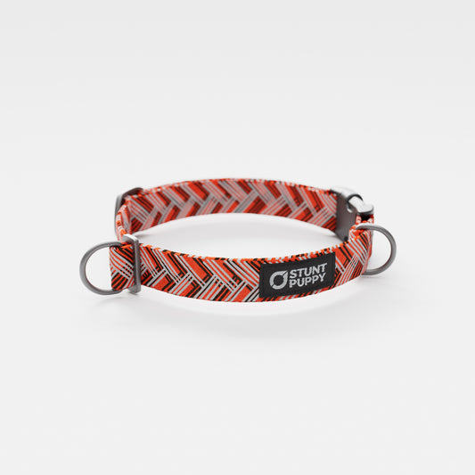 Cleveland Brown Snouts Everyday Collar