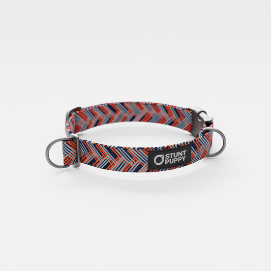 Denver Bark-Os Everyday Collar