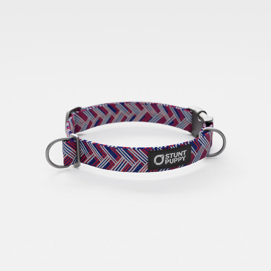 New York Giant Schnauzers Everyday Collar