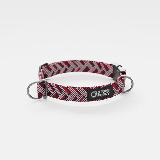 Houston Tex-Hounds Everyday Collar