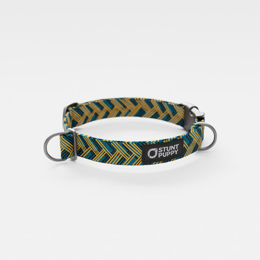 Jacksonville Ride-In-The-Cars Everyday Collar
