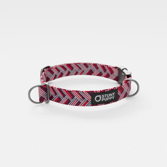 New England Paw-triots Everyday Collar