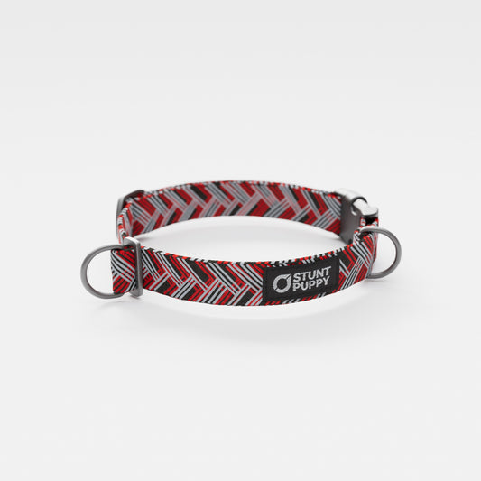 Tampa Bay Bark-aneers Everyday Collar